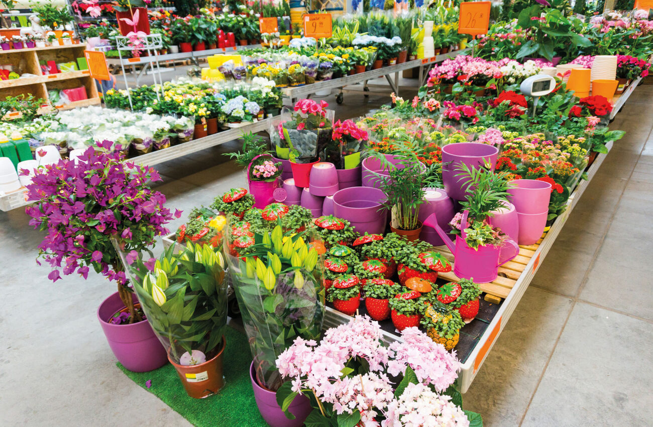 Garden Centre Chain Stock Count