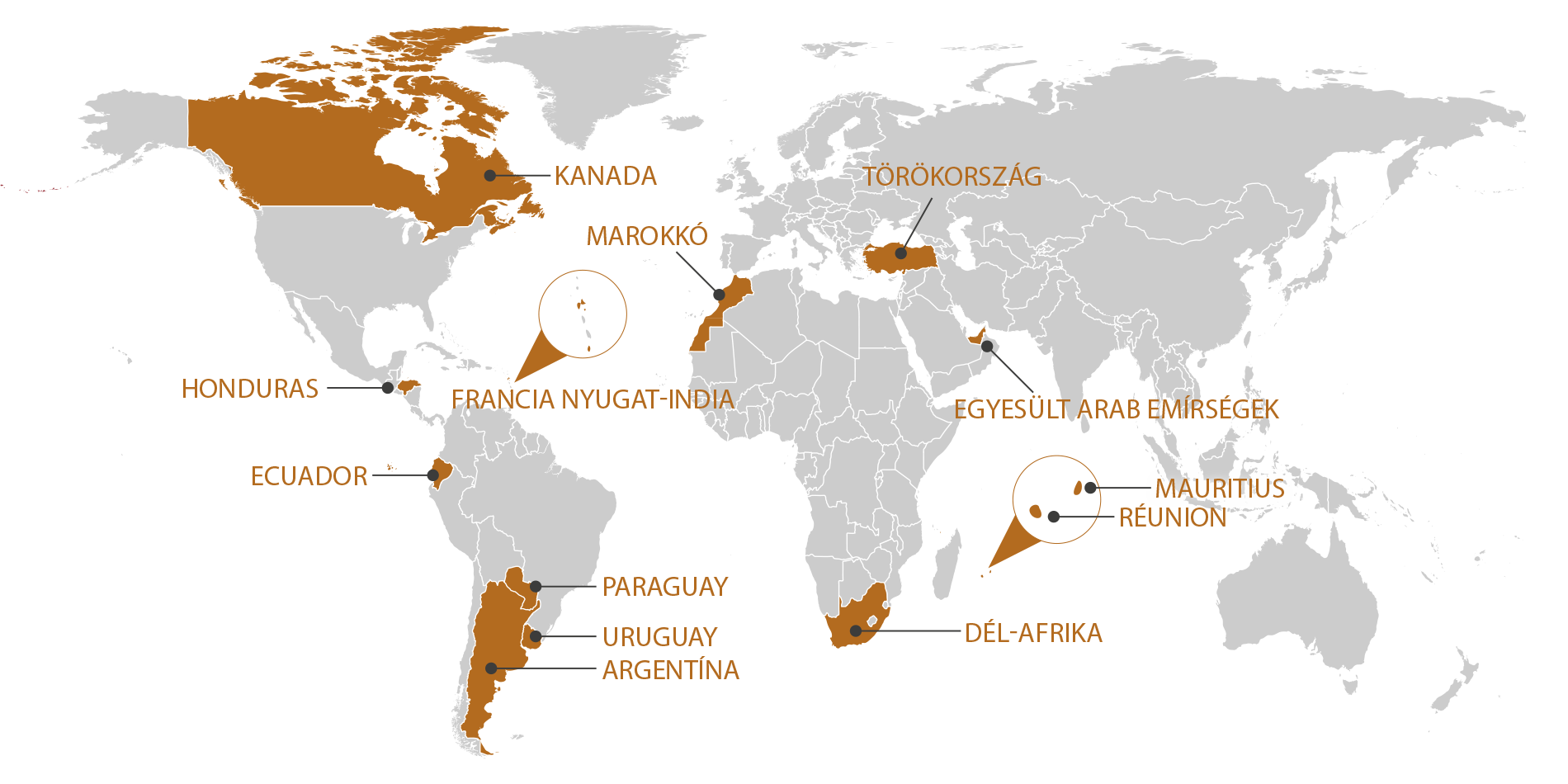 RGIS_FRANCHISE_WORLD_HU_1125. RGIS Franchise